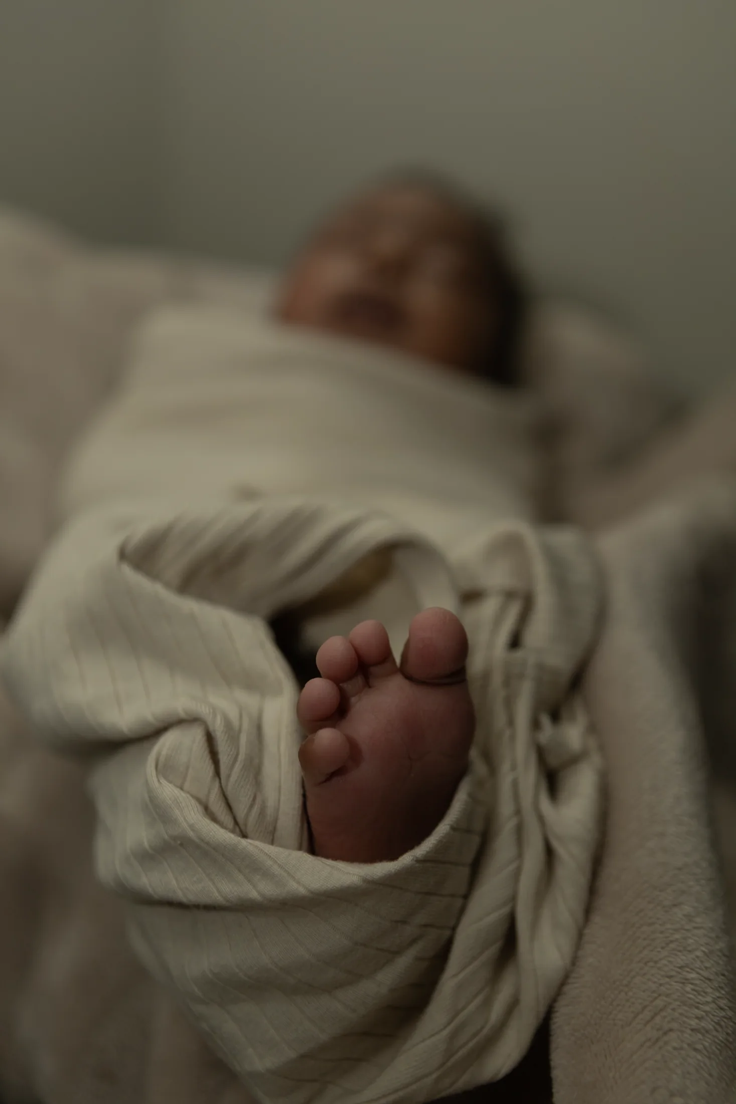 Maternity — CVJ-Family-Portraits-160