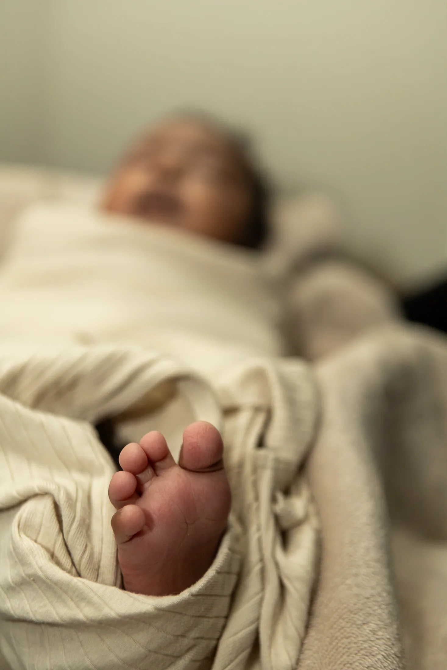 Maternity — CVJ-Family-Portraits-182