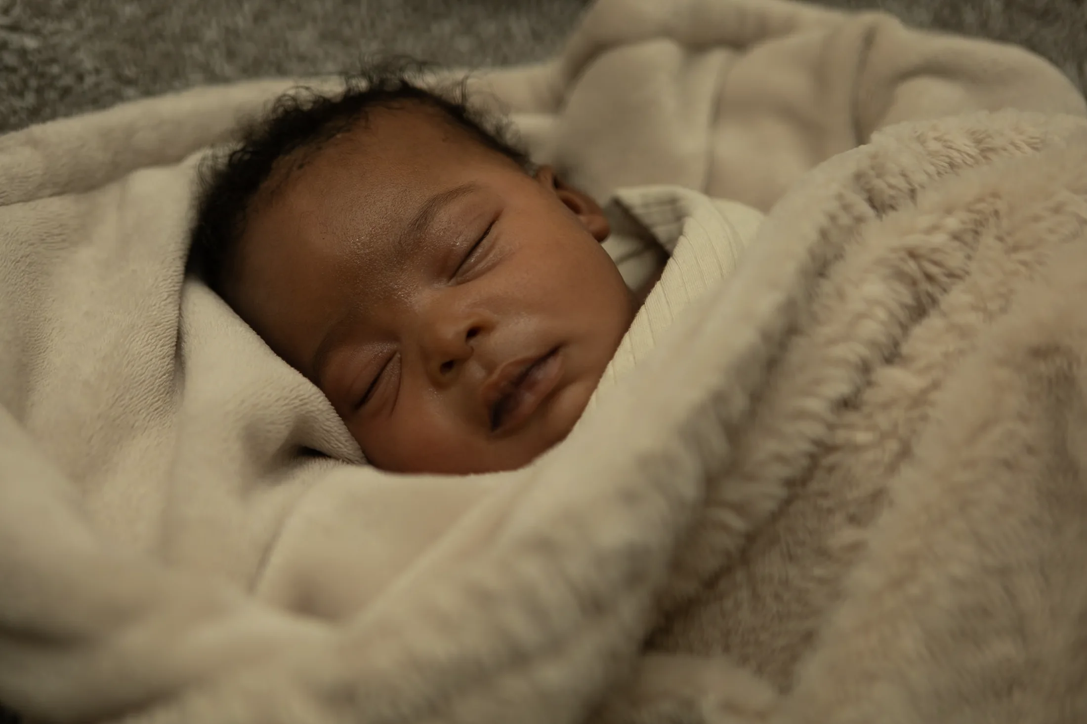 Maternity — CVJ-Family-Portraits-183