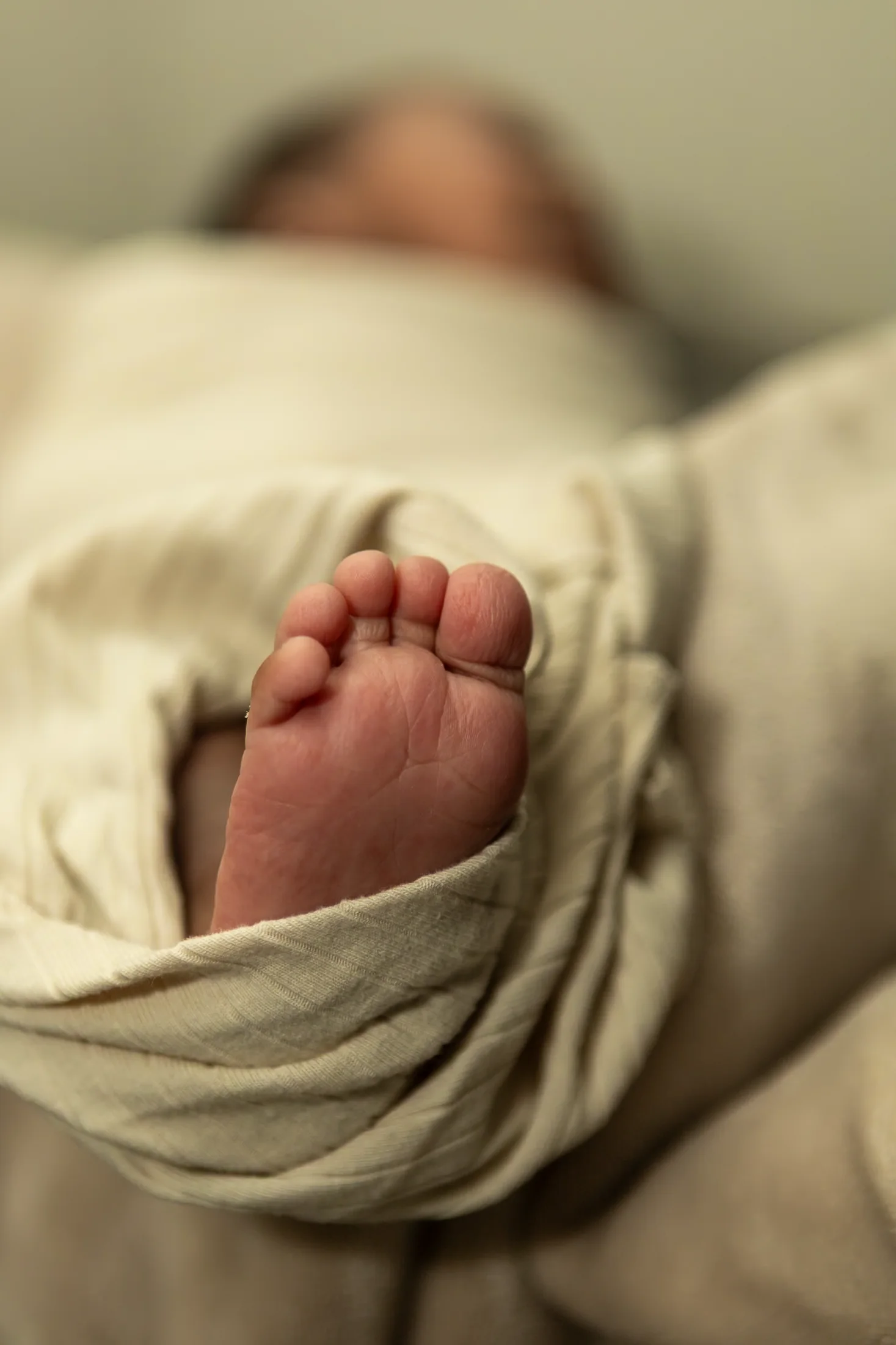 Maternity — CVJ-Family-Portraits-188